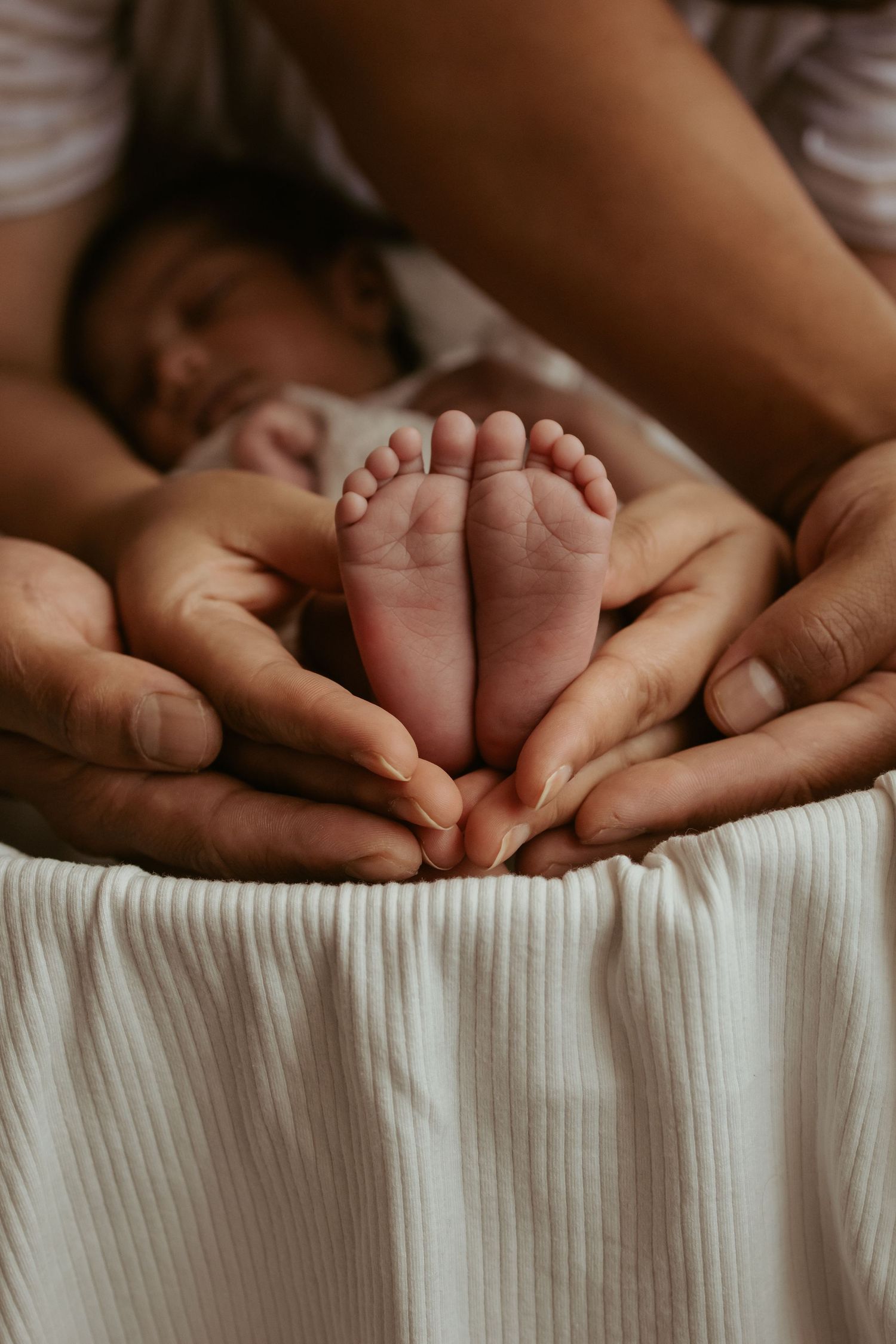 Hazel & Oak Photography Adelaide South Australia Photographer Maternity Family Newborn
