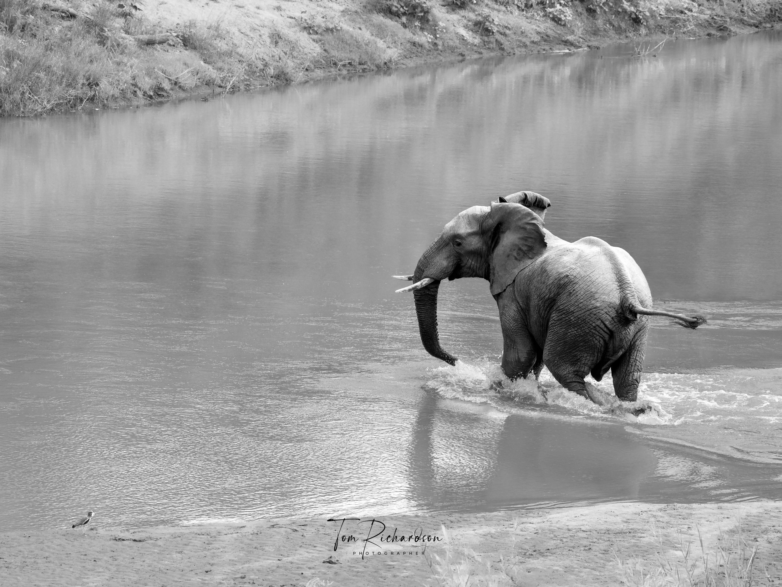 Crossing The Luvuvhu River near Pafuri in the north of The Kruger National park, South Africa