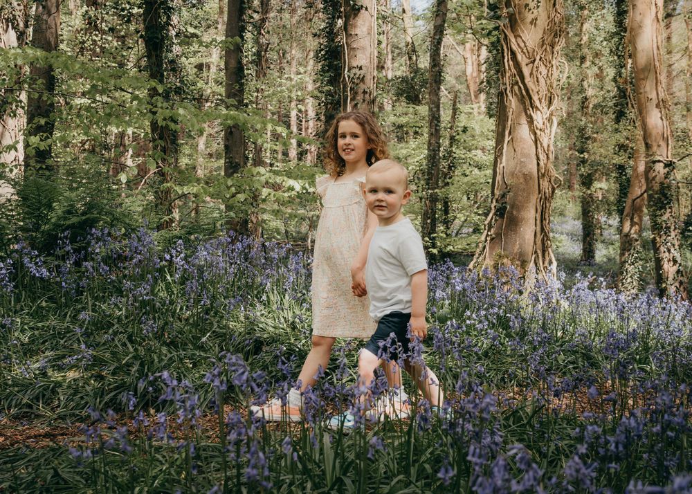 Bluebells photo session Newry