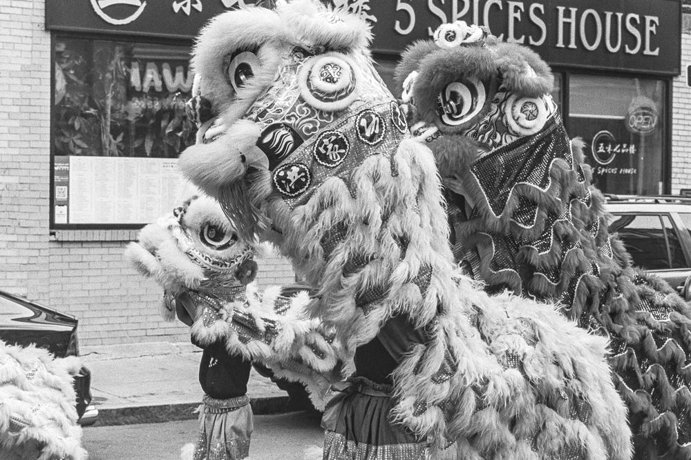 Chinese Lion Dance at Boston's Chinatown with Hung Gar Kung Fu and Lion Dance Academy | 在波士顿唐人街的中国舞狮与洪家功夫舞狮学院