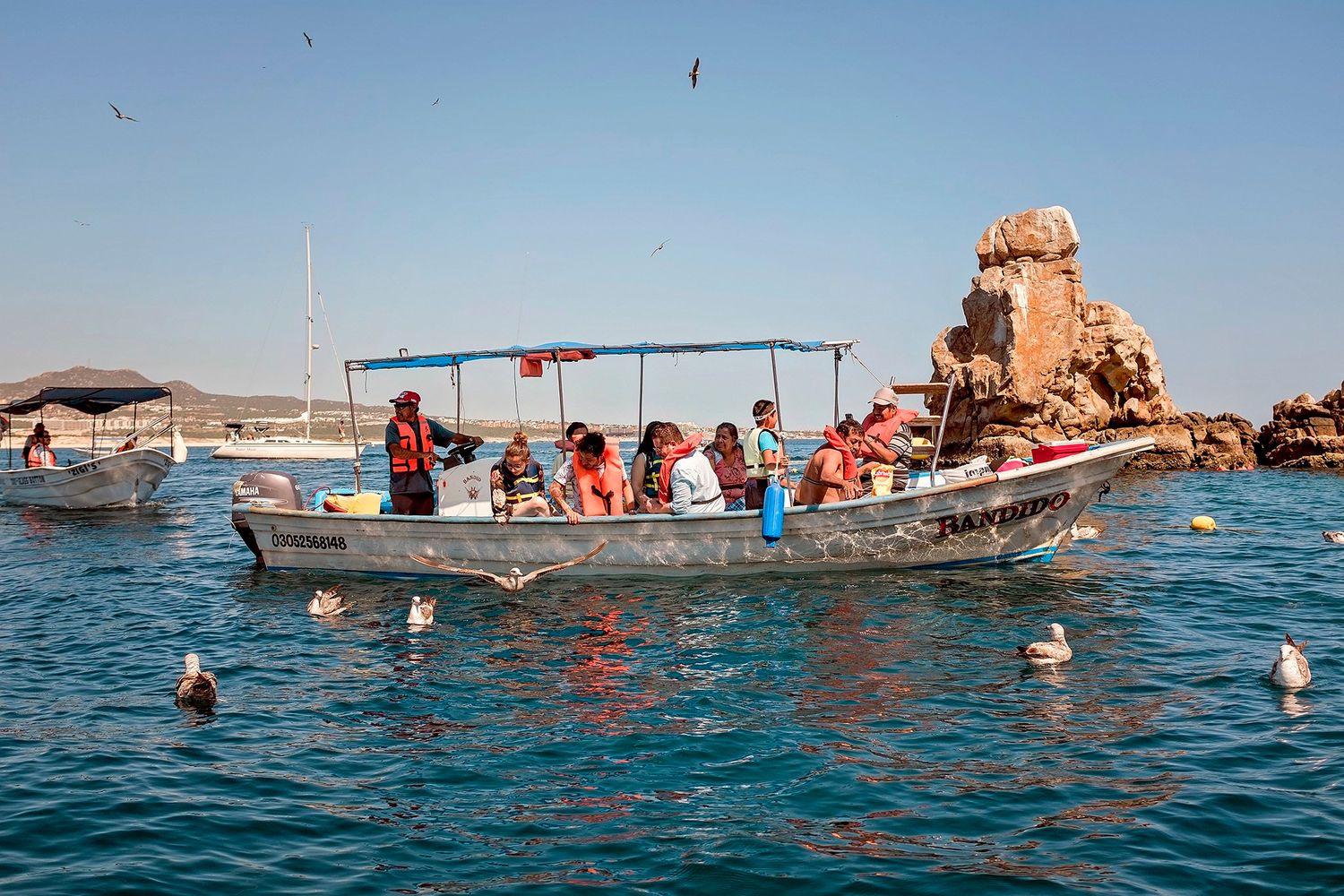 Feeding the fish on our glass-bottom boat tour.