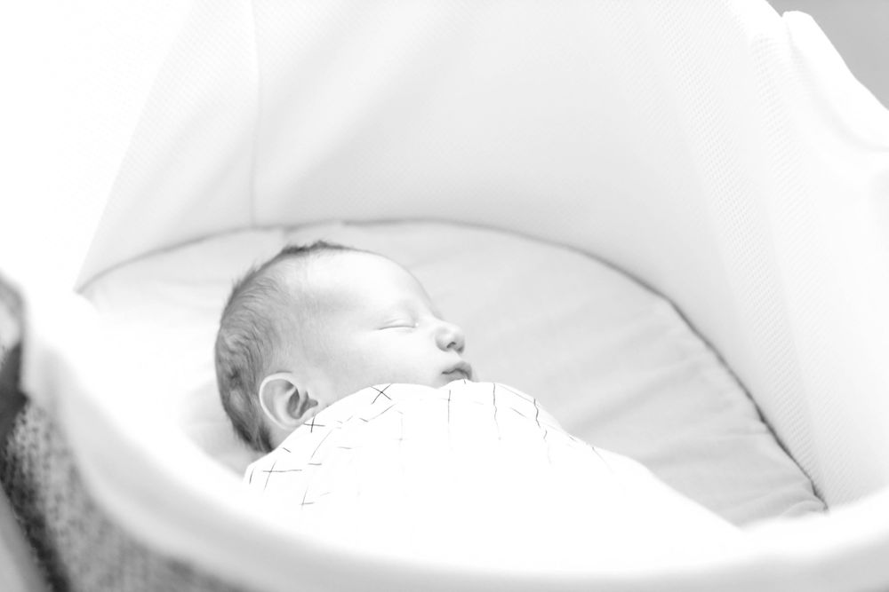 Patrycja Alina Photography Fine Art Newborn Denver, Colorado