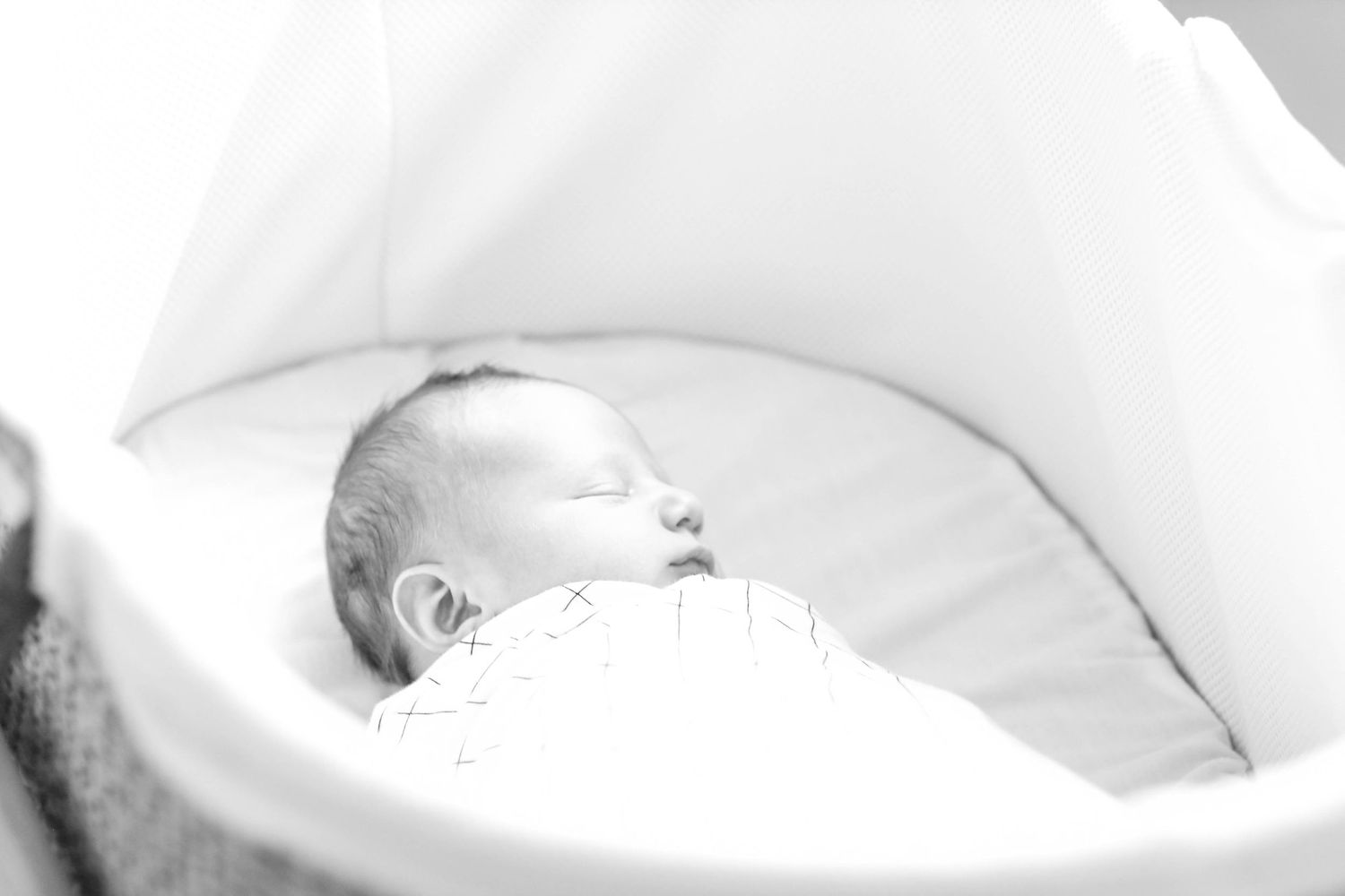 Patrycja Alina Photography Fine Art Newborn Denver, Colorado