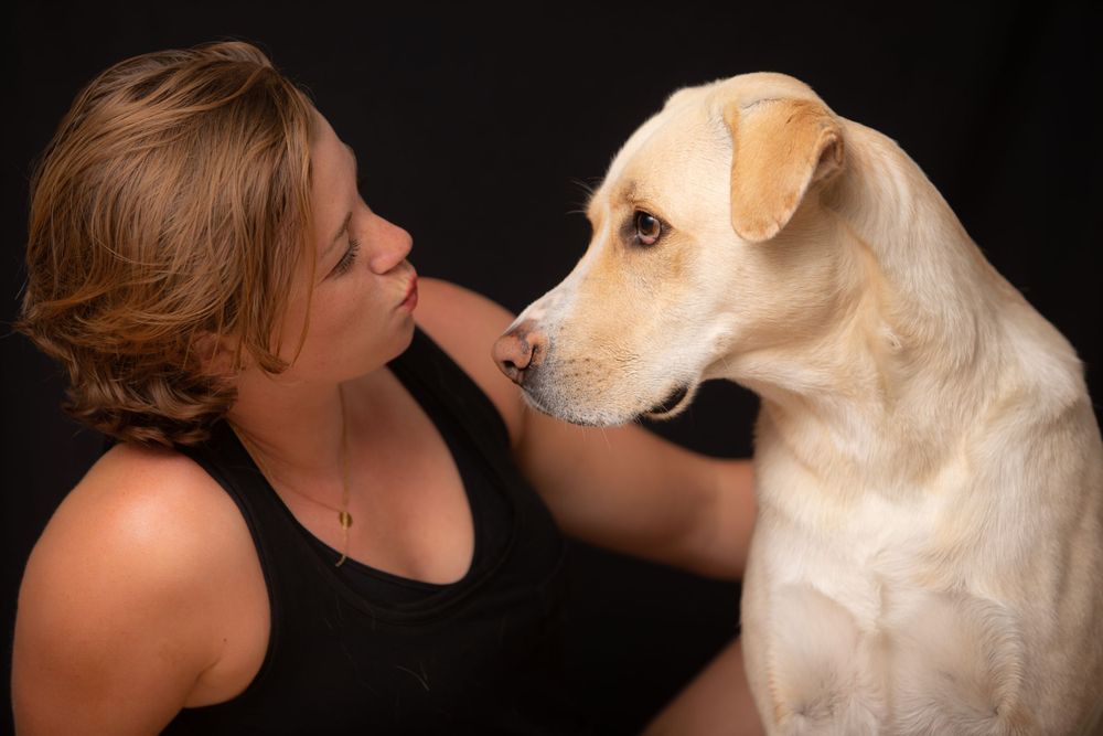 Pet Portraits