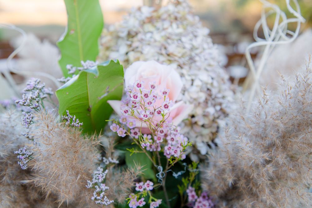 Close-up of soft pink rose surrounded by pampas grass and delicate wildflowers in boho arrangement.