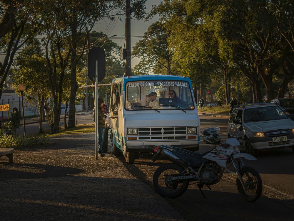 Small truck and motorcycle parked on tree-lined street.