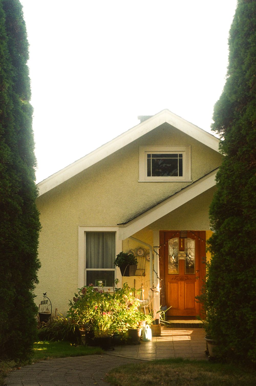 Modern beige house with wooden front door and tall cypress trees lining the driveway.