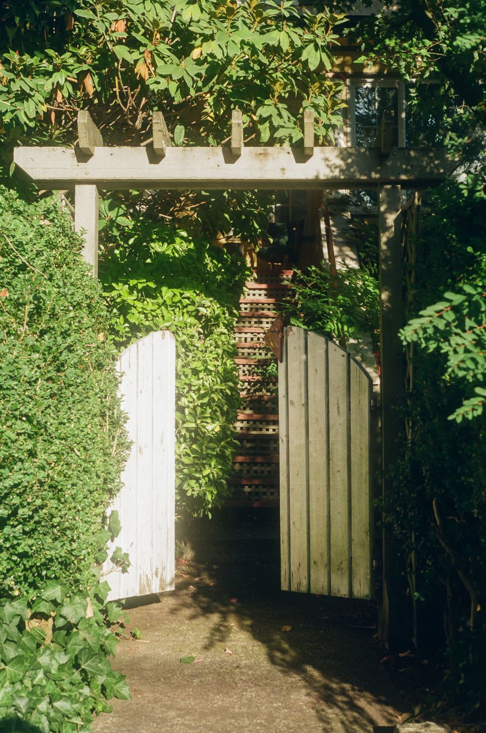 White pergola with climbing vines creates a shaded garden pathway.