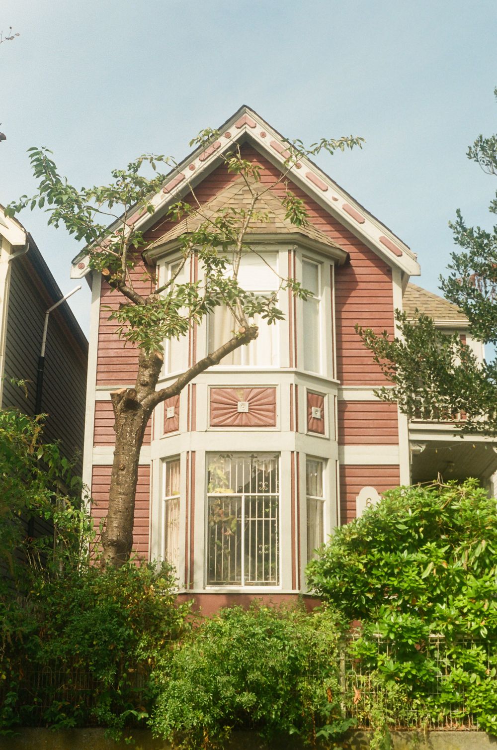 Pink Victorian-style houses with bay windows and ornate trim sit in a garden setting.