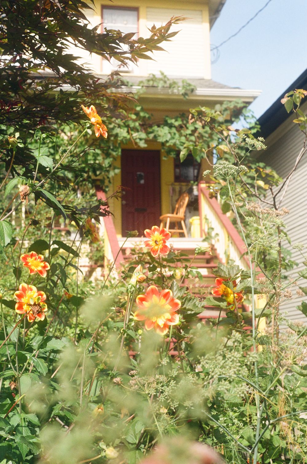 Yellow house with bright orange flowers blooming in the foreground garden.