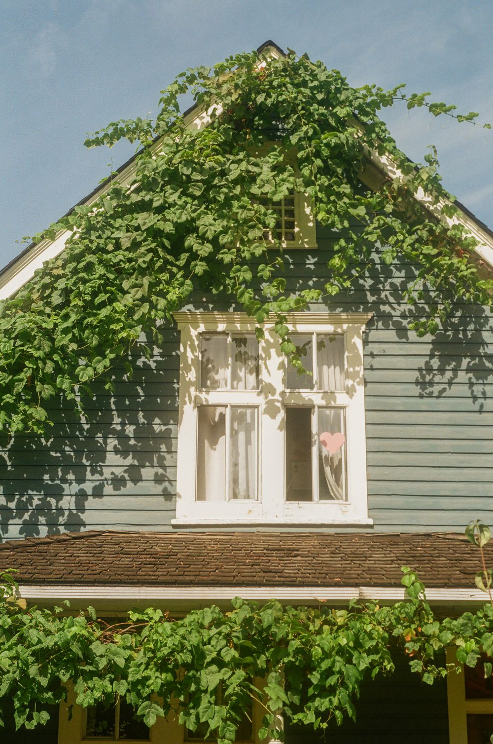 White-trimmed green house with vines growing along the windows and roof.