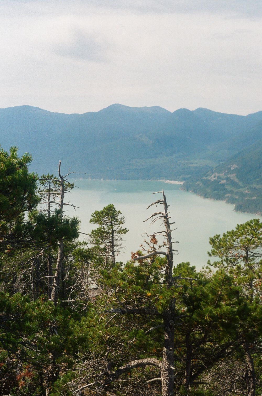 Mountain lake vista with evergreen trees in the foreground and blue peaks in the distance.