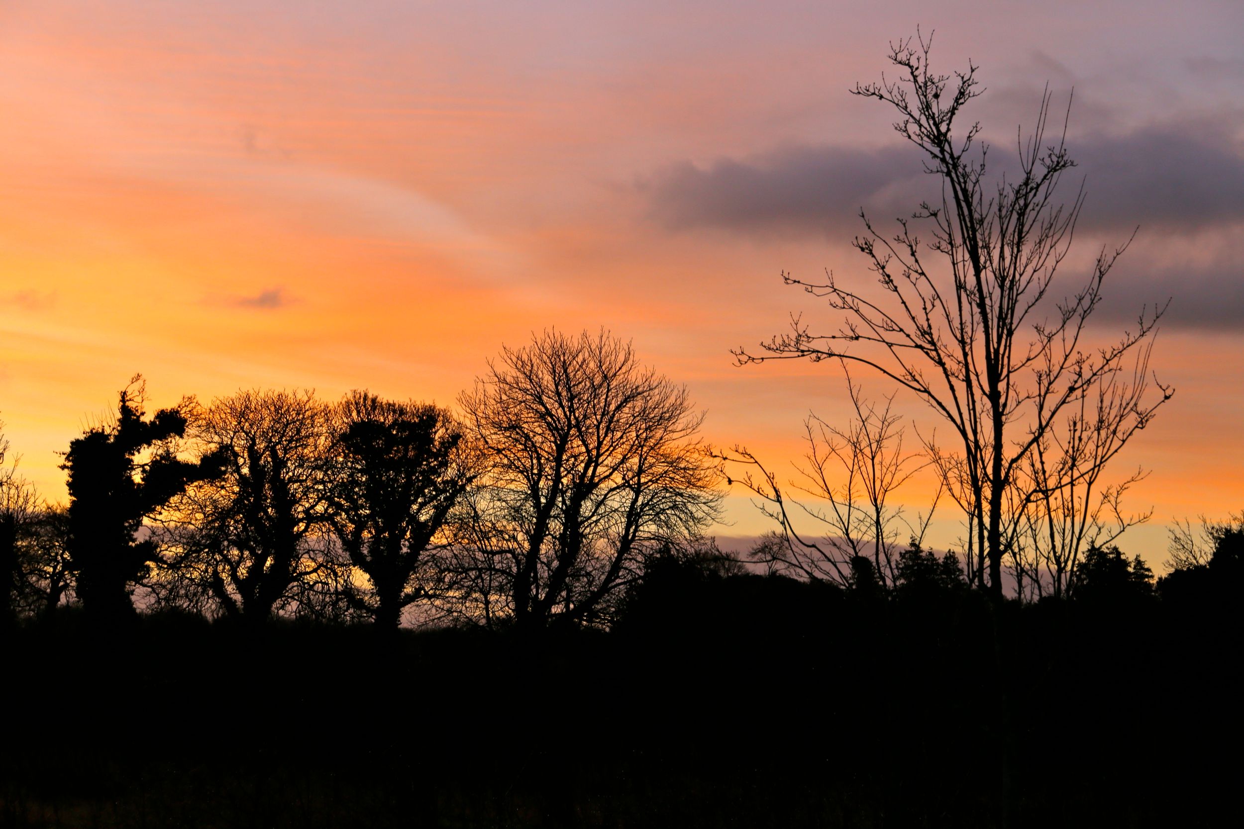 Ireland