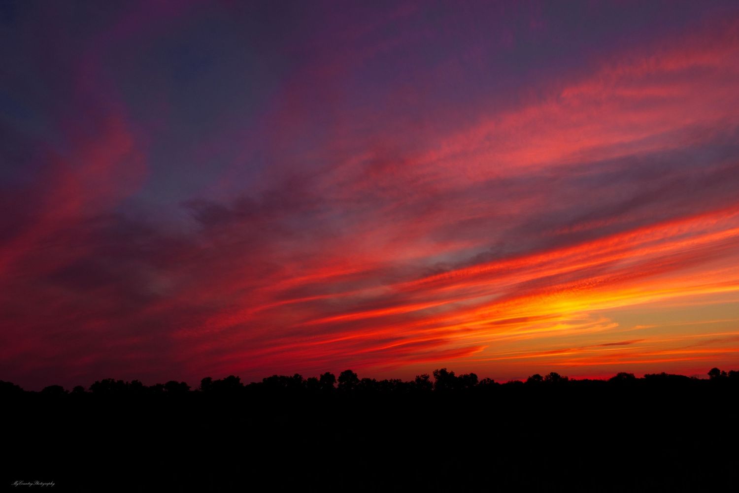 Michigan summer sunset. The sky has clouds which are colored red, orange, and yellow. Tree silhouettes are at the bottom
