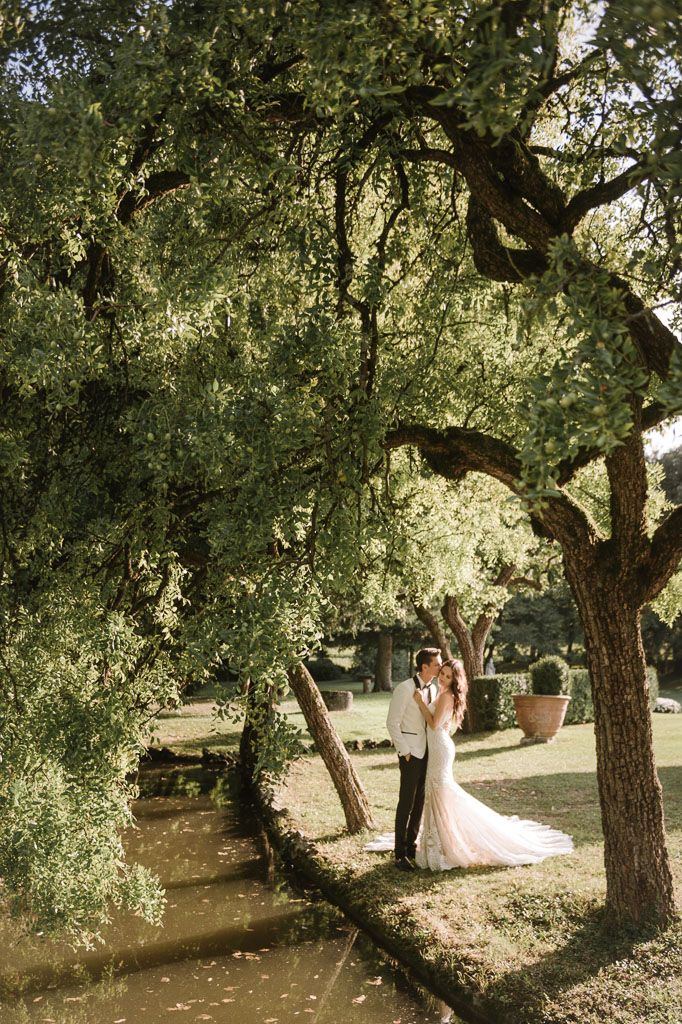 Artistic wedding photo composition with couple framed by twisted tree branches and natural light.