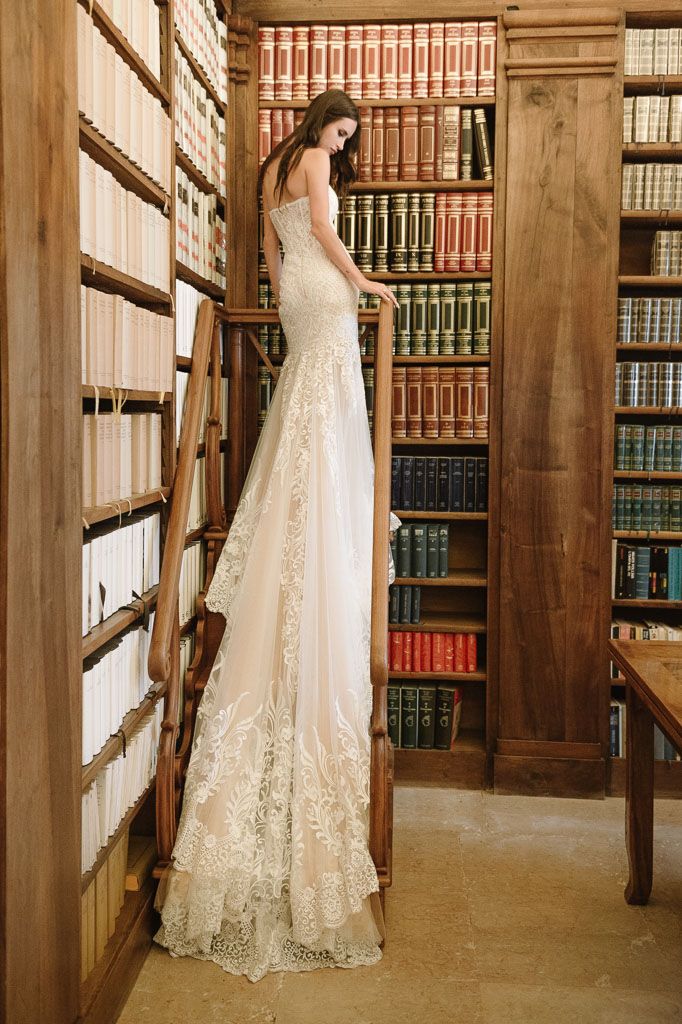 Bride in lace wedding gown stands on library ladder against wall of vintage books.