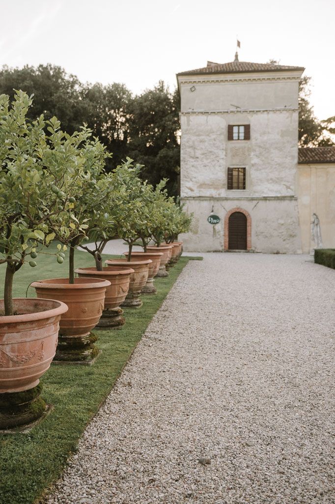 Stone path lined with large terracotta planters leading to white Mediterranean tower building.