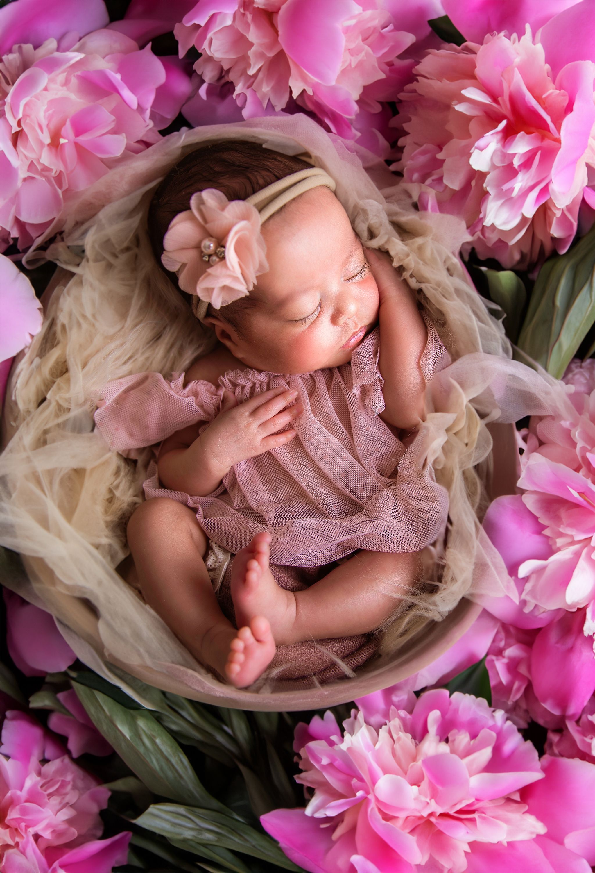 newborn photographer north dakota
