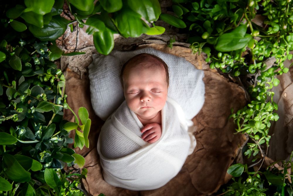 newborn photographer north dakota