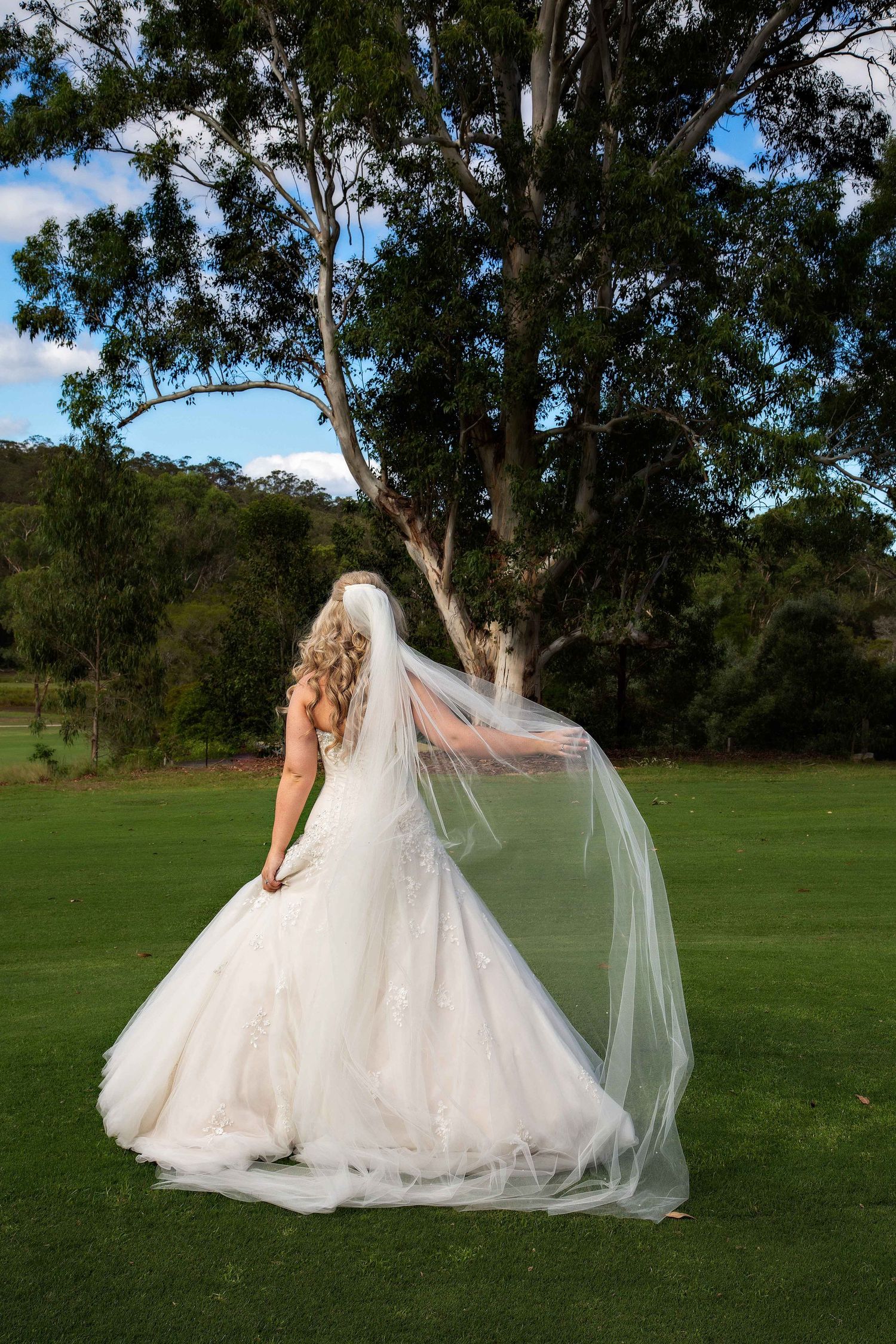 The details in a bridal gown, from the back with the bride holding her veil out.