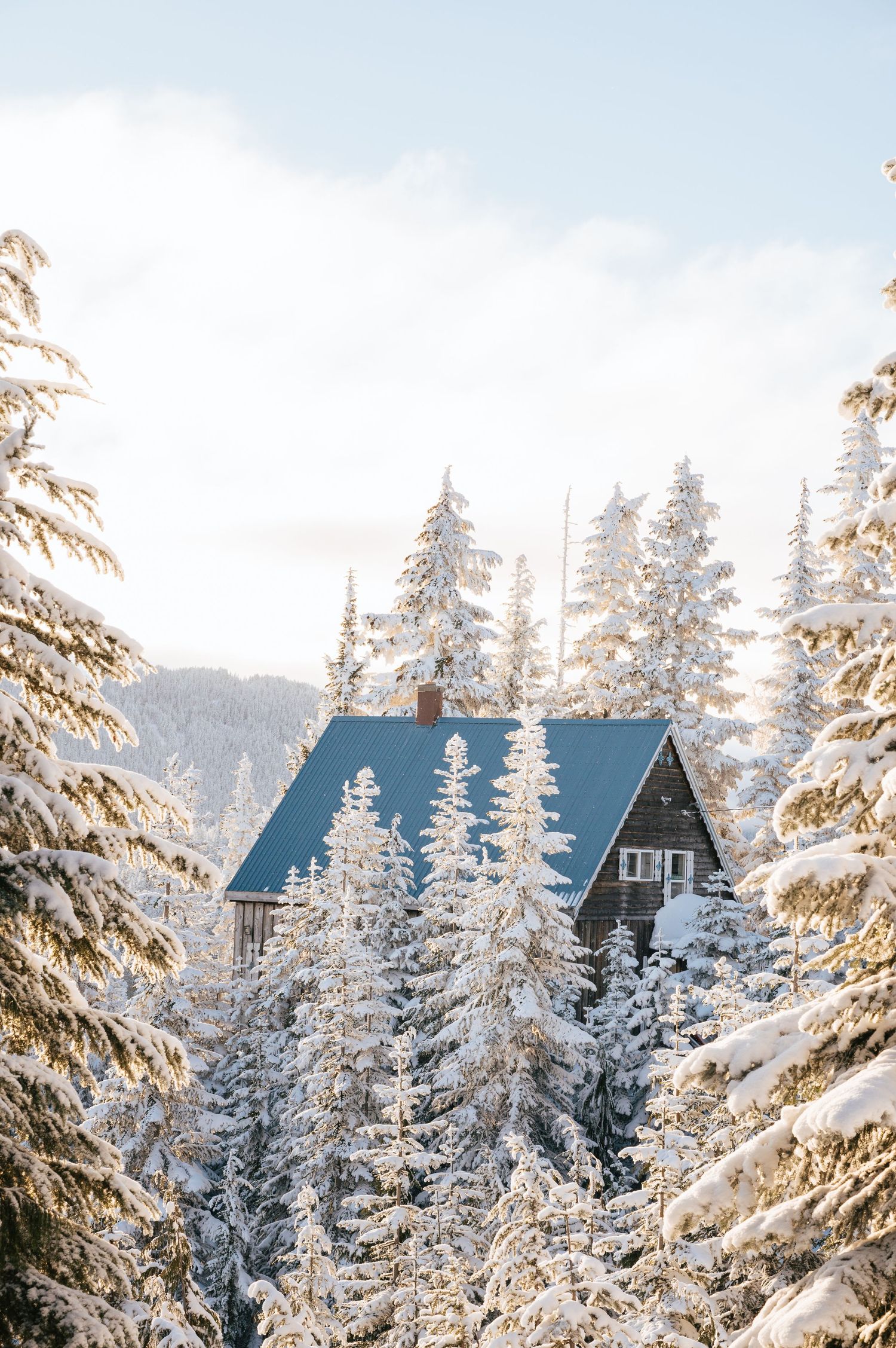Skiing on Vancouver Island Driftwoods Photography