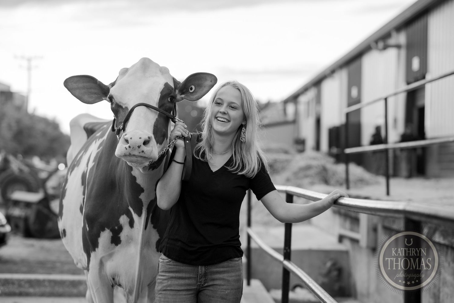 A black and white photograph captures a playful moment between a Holstein cow and person by farm buildings.