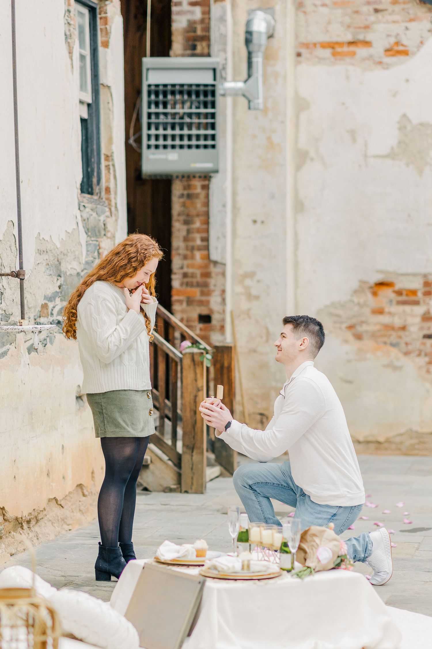 OATLANDS HISTORIC HOUSE LEESBURG VIRGINIA ENGAGEMENT PICTURES