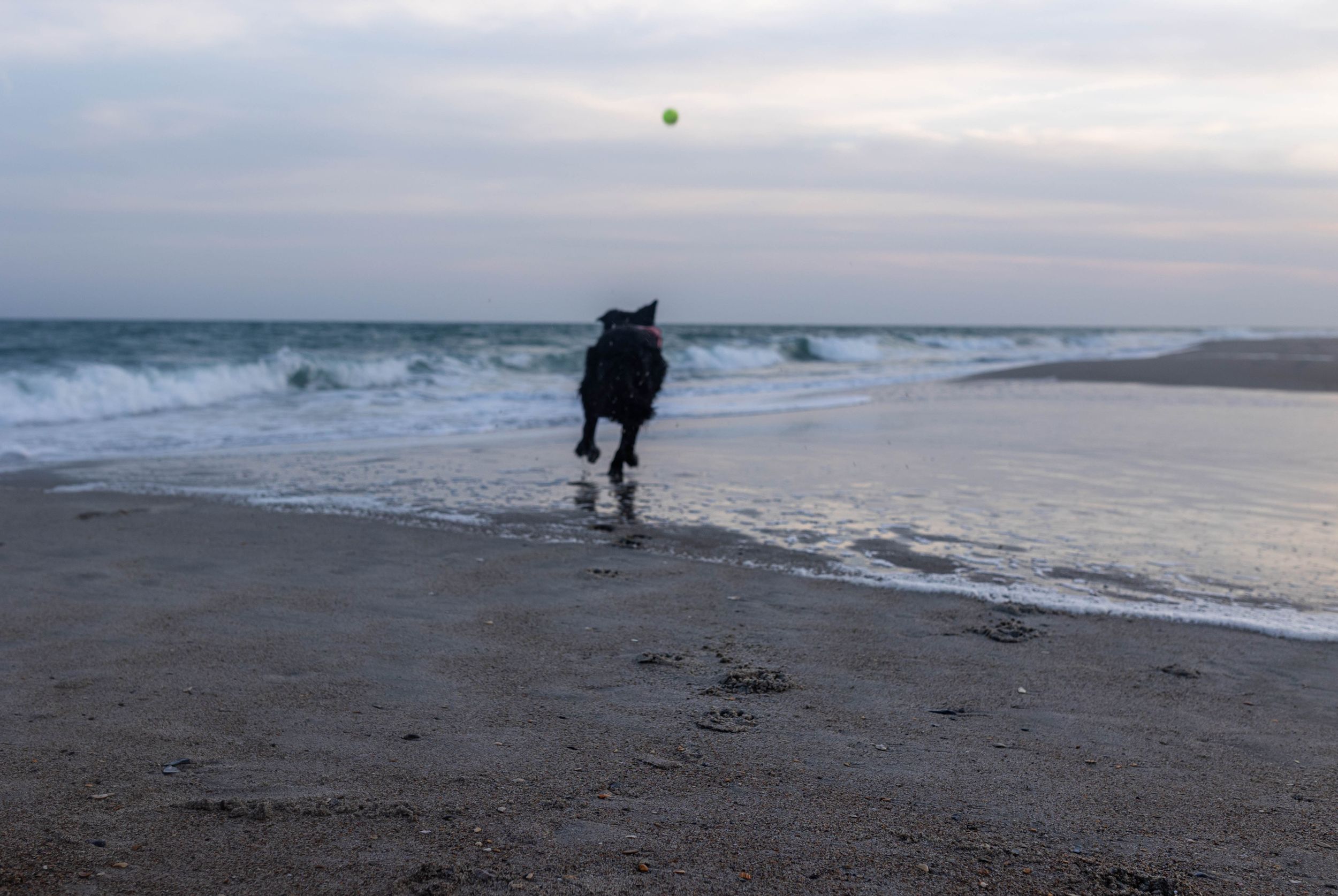 Emerald Isle NC AFFORDABLE BEACH PHOTOGRAPHER FAMILY PHOTOS  OFFERING MINI SESSIONS