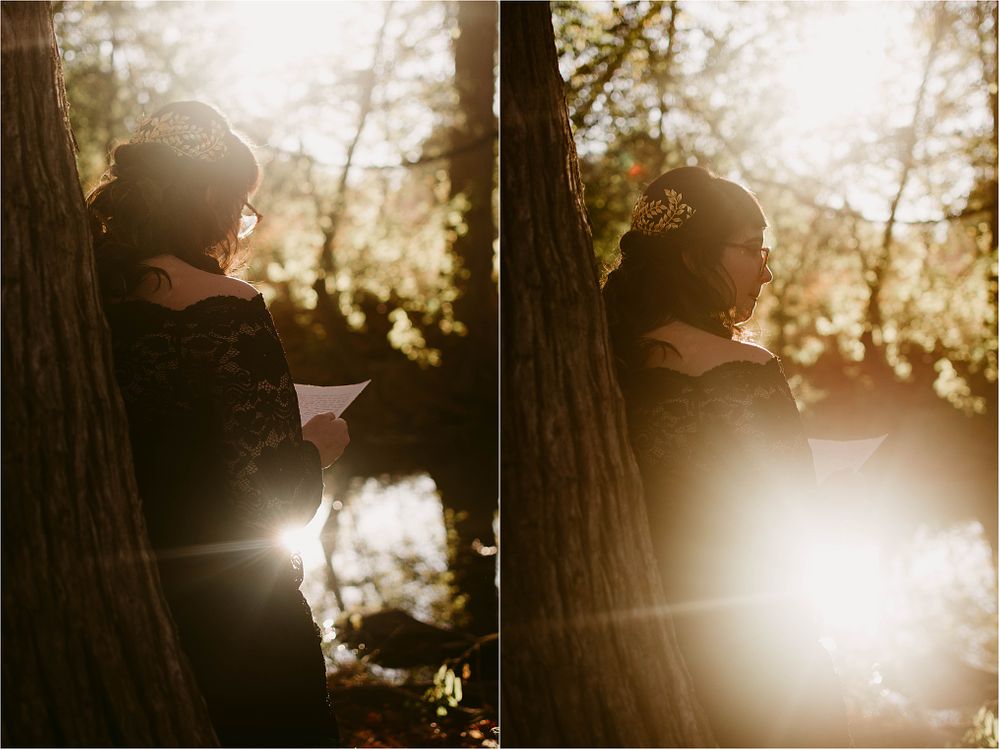 Silhouetted figures reading in golden forest light during sunset, shown in artistic diptych style.