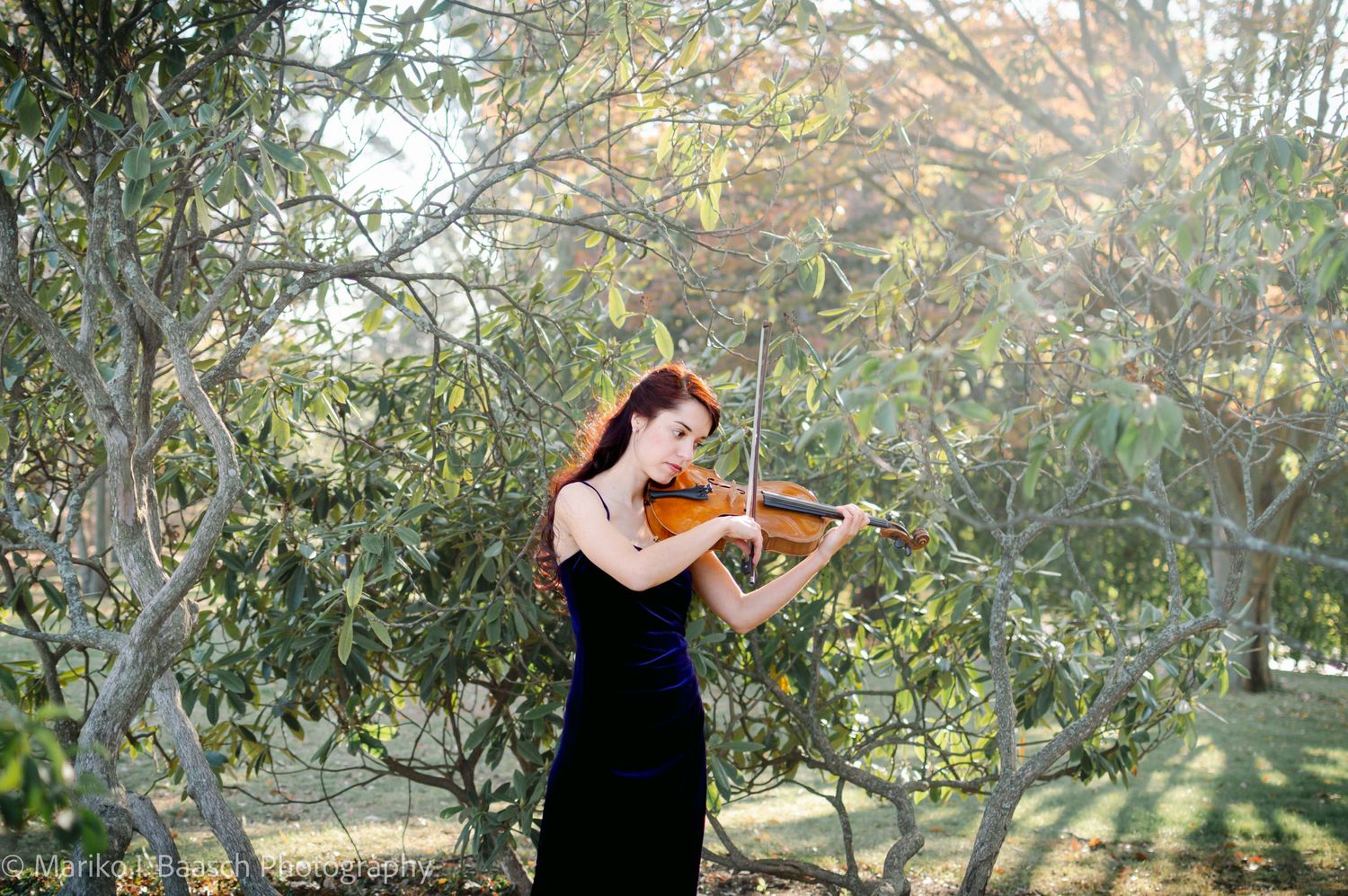 A violinist in a blue velvet gown plays her violin outdoors among lush green trees.