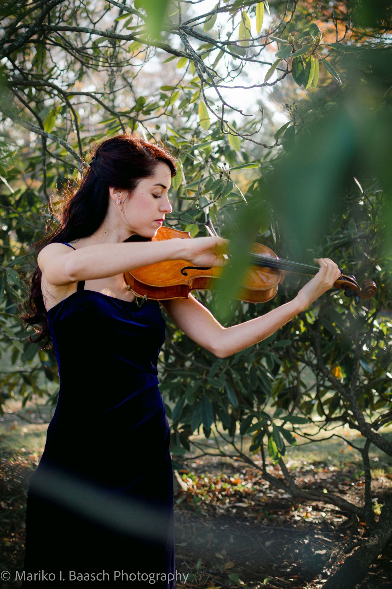 A female violinist in a blue velvet dress plays passionately among leafy green trees.