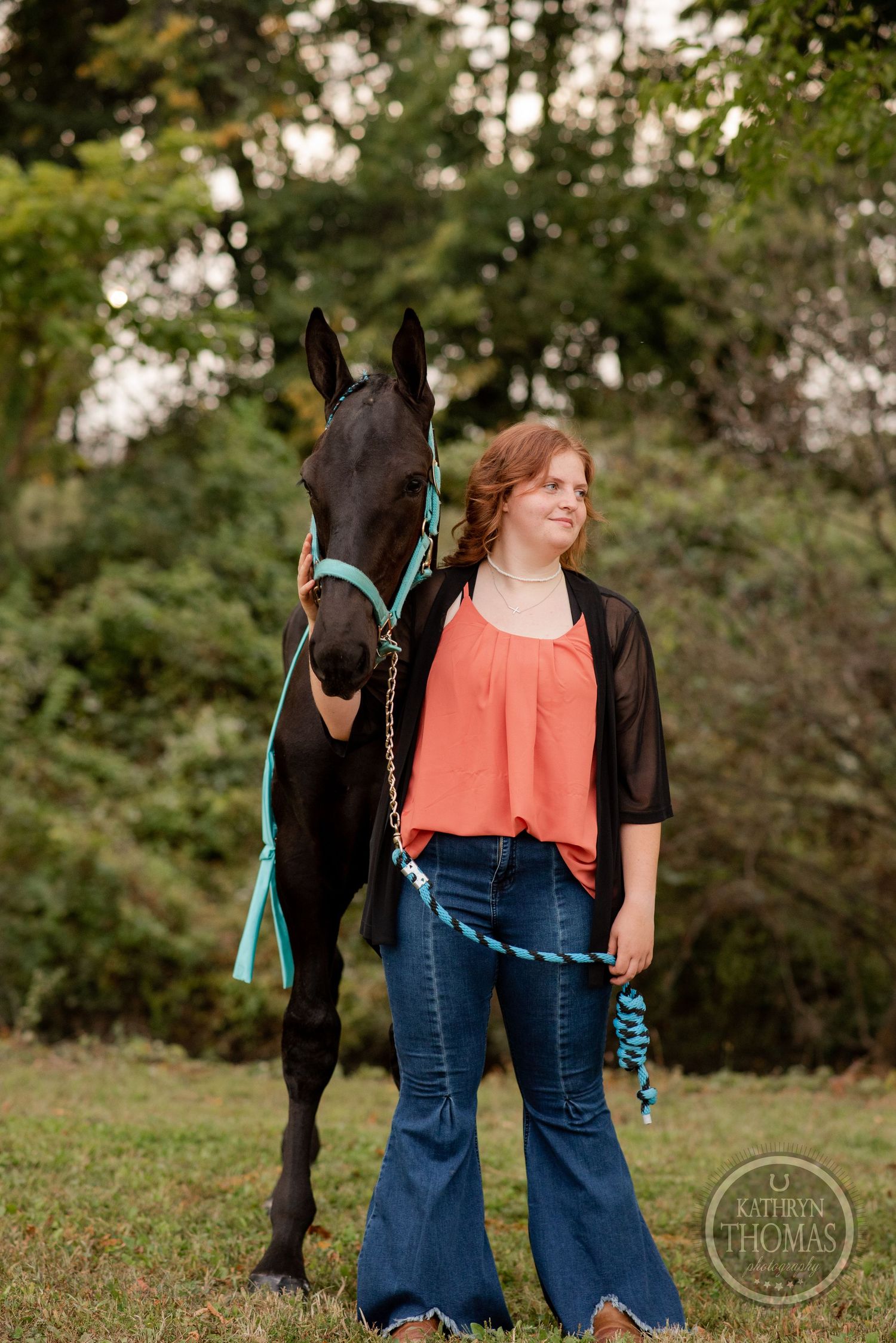 A black horse with teal halter stands in a grassy field with trees in background.
