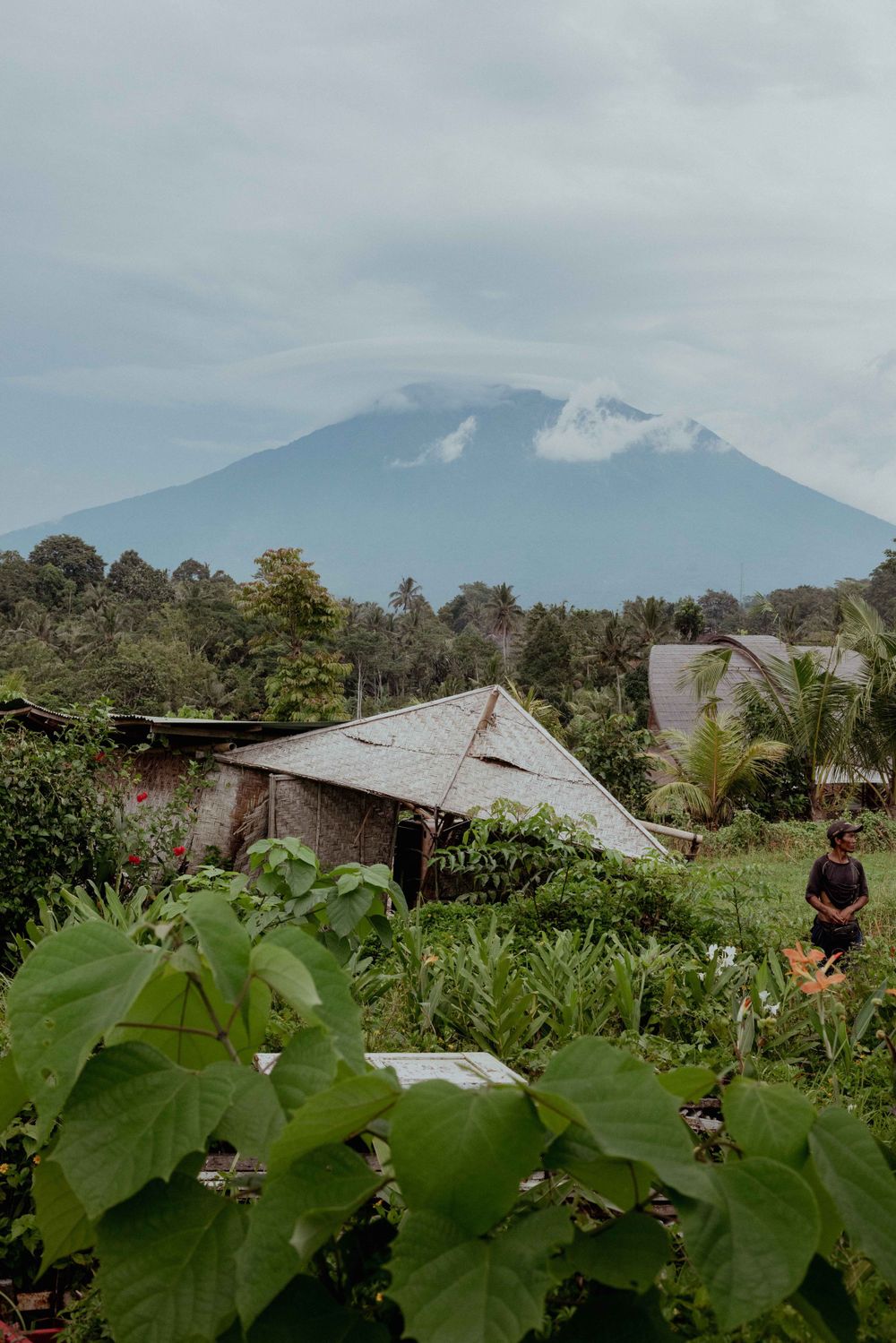 Rural mountain landscape with traditional house and lush vegetation in foreground.