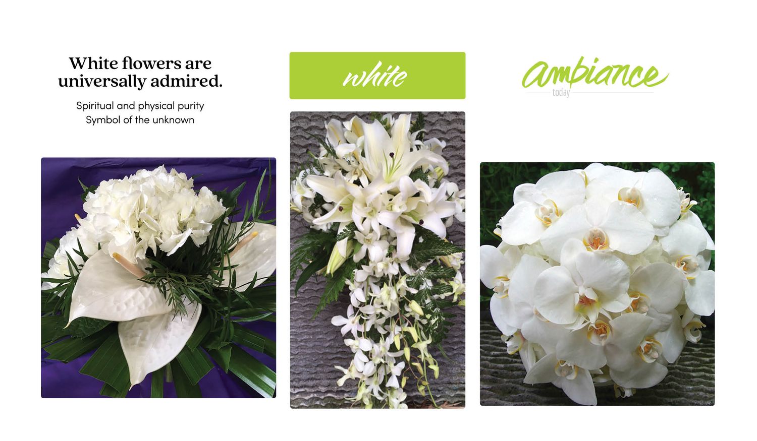 White flowers are universally admired. Here are examples of our work in white.
