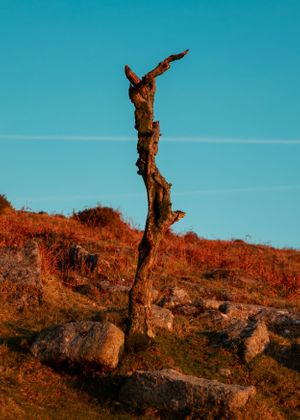 Landscape/ adventure