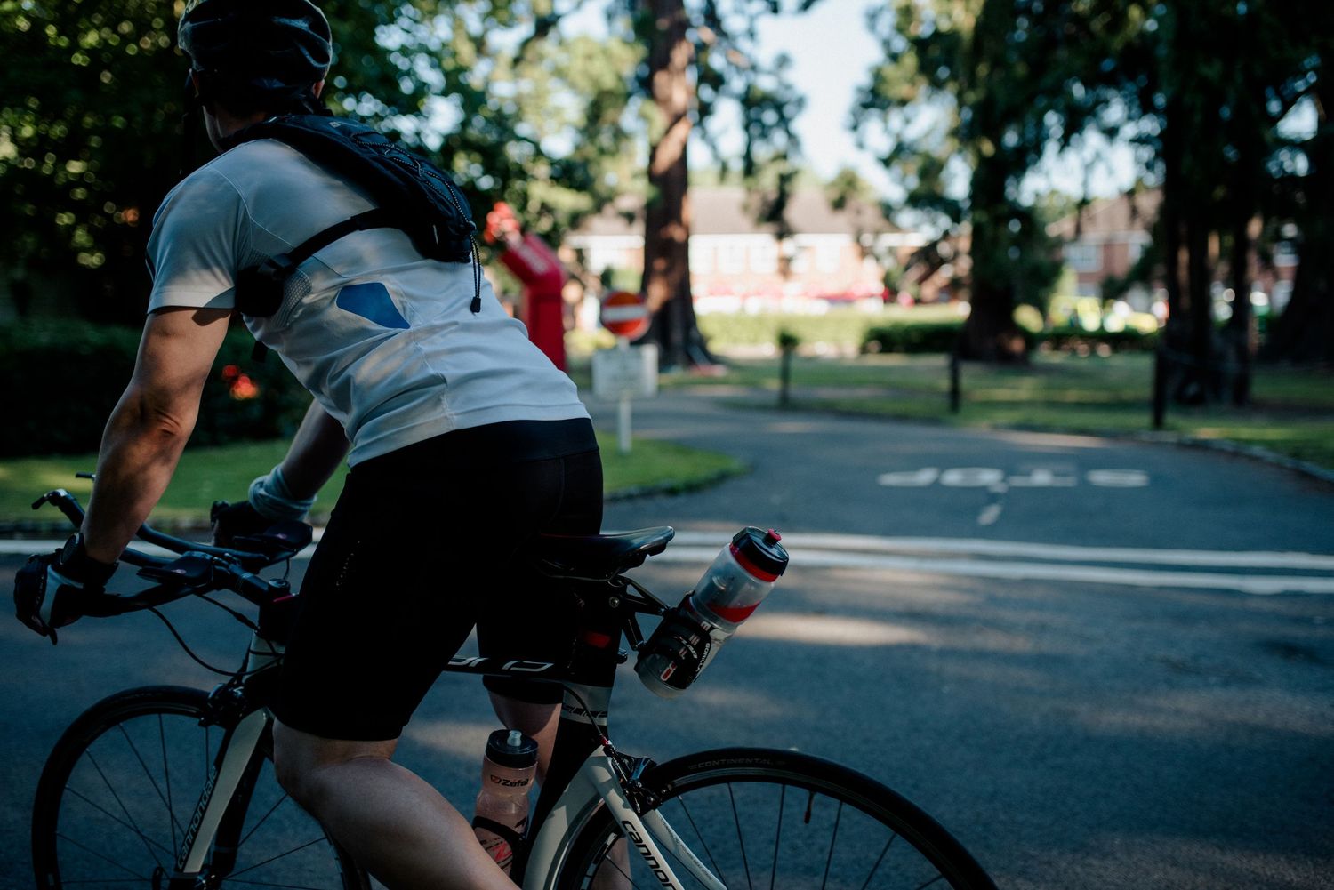 Cyclist on road bike riding through park on sunny day.