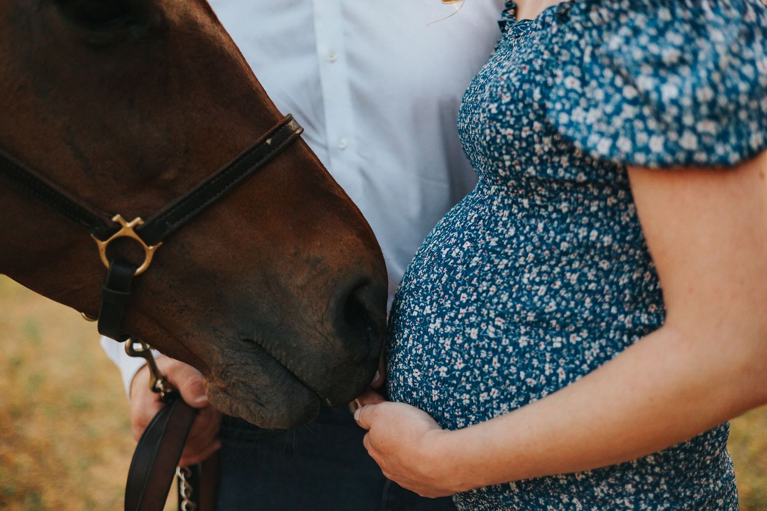 destination photographer south jersey photographer cape may photos wedding photos new jersey elopement photographer Maternity Session