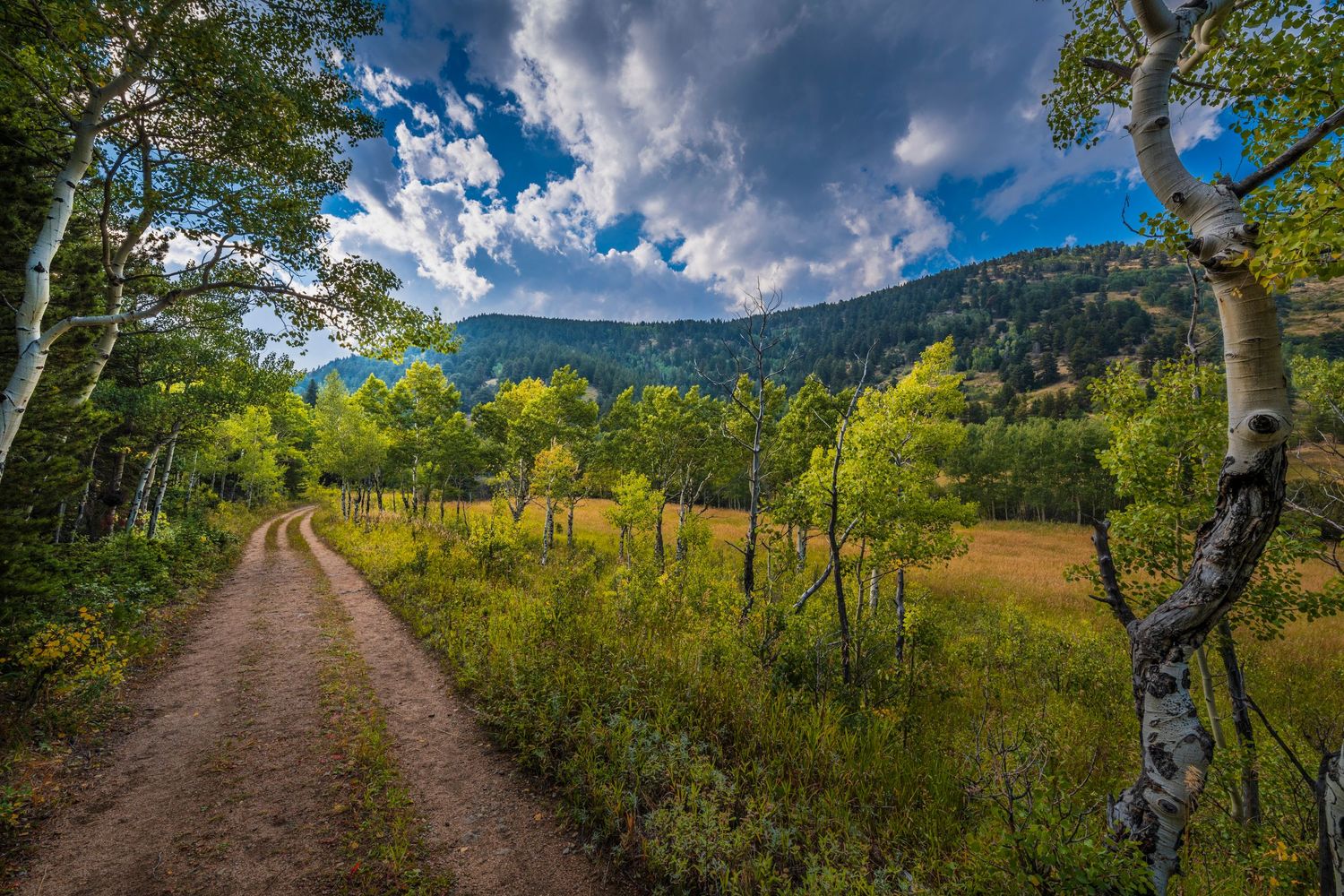 fine art photography landscape northern colorado