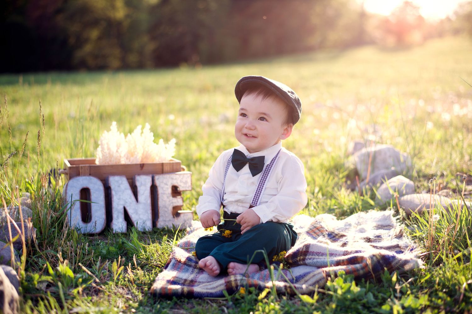 First birthday celebration portrait on a picnic blanket in a sunlit meadow with wooden "ONE" sign.