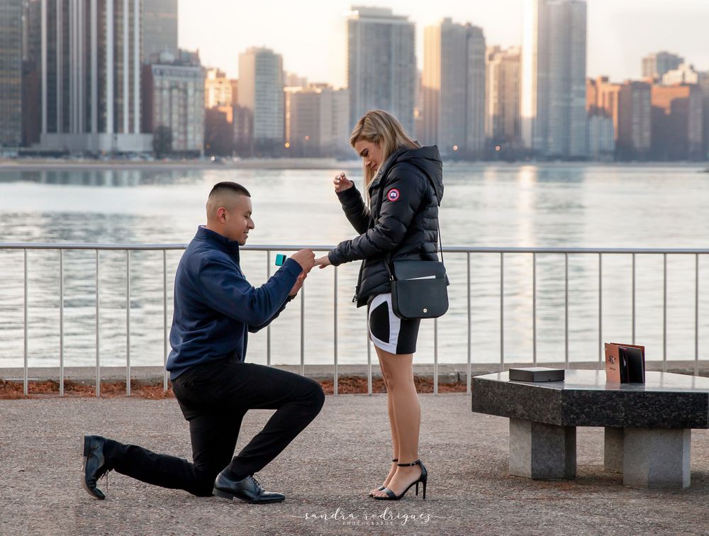 Engagement  Chicago Photographer Sandra Rodriguez Photography  chicago parks  wedding  Lincoln park