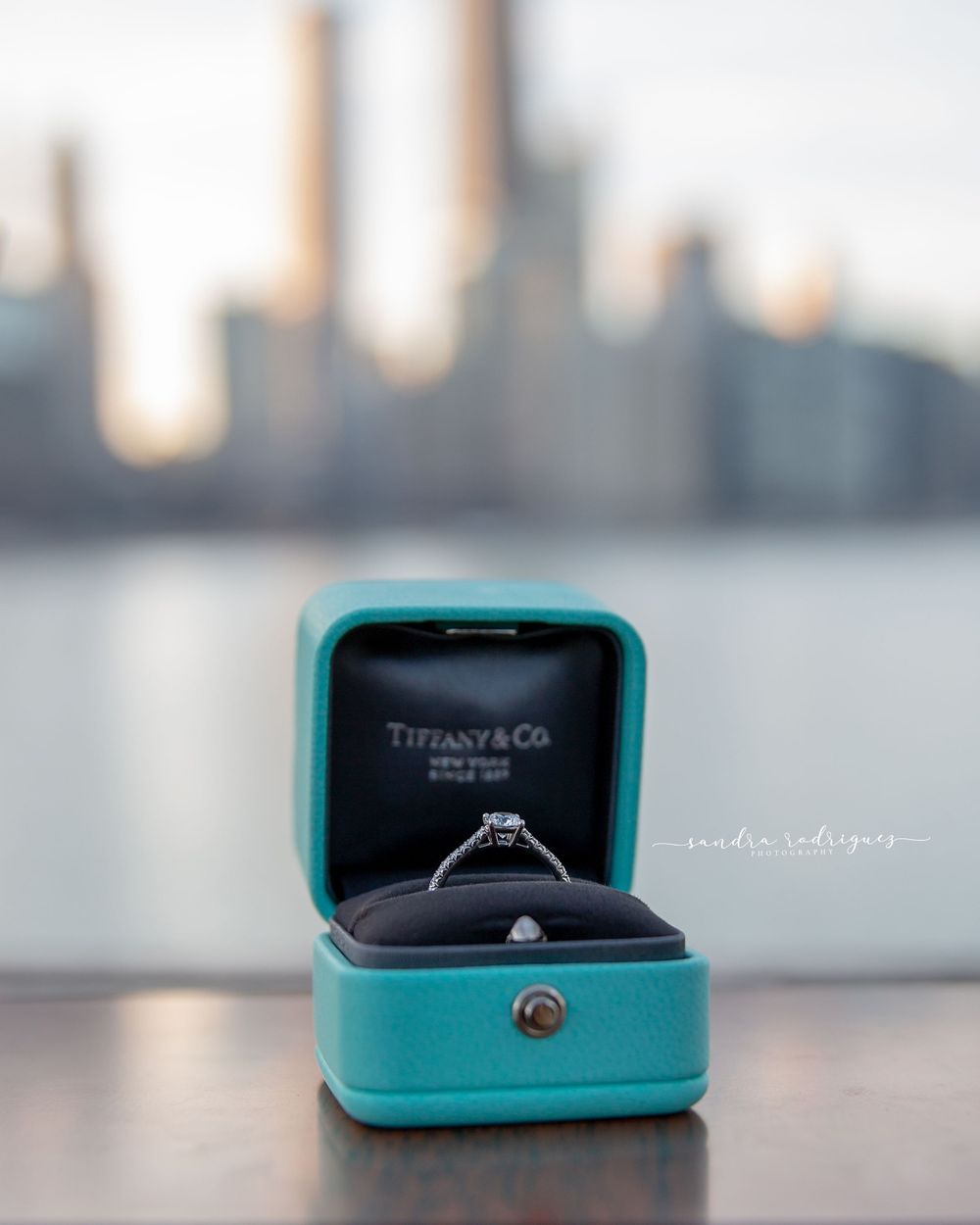 Engagement  Chicago Photographer Sandra Rodriguez Photography  millennium park