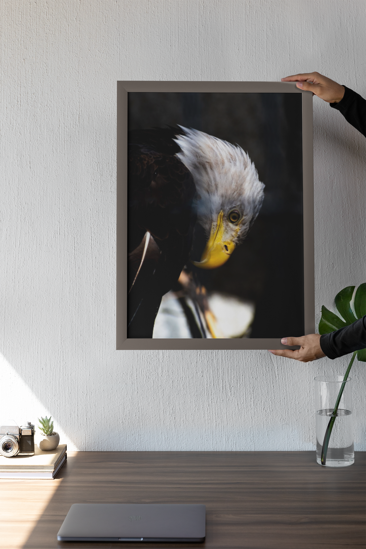 Dramatic black and white photograph of an eagle's profile displaying its distinctive white head feathers.