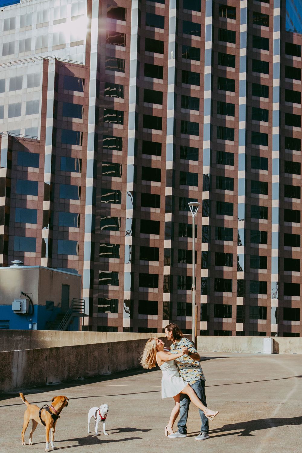 Two dogs watch as a couple dances together on a concrete plaza in front of a tall apartment building on a sunny day.