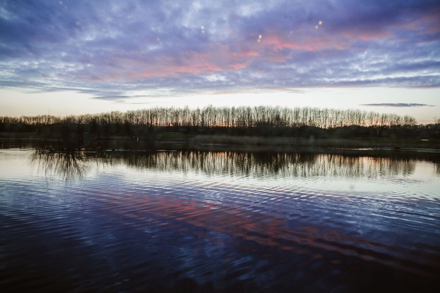 brockholes nature reserve wedding photography
