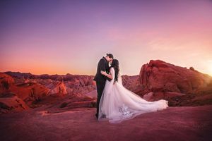 Silhouetted wedding couple shares intimate moment against pink desert sunset.