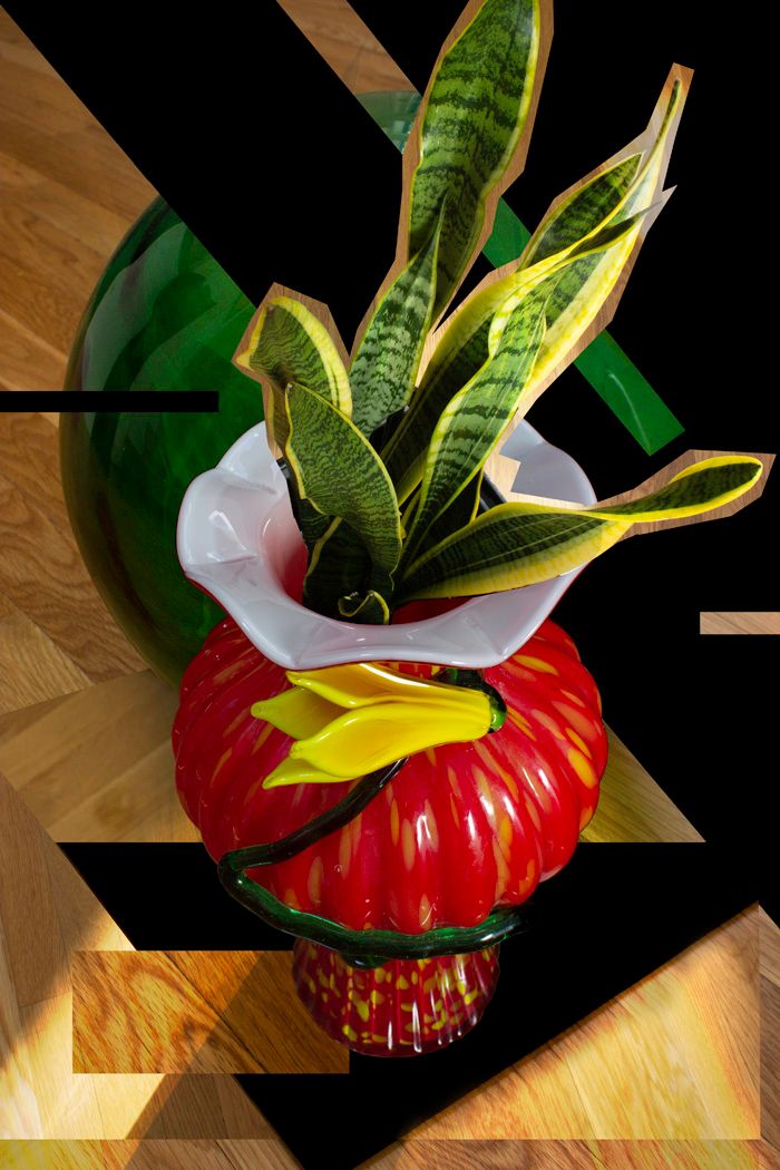 Snake plant in a red and white decorative pot with geometric shadows.