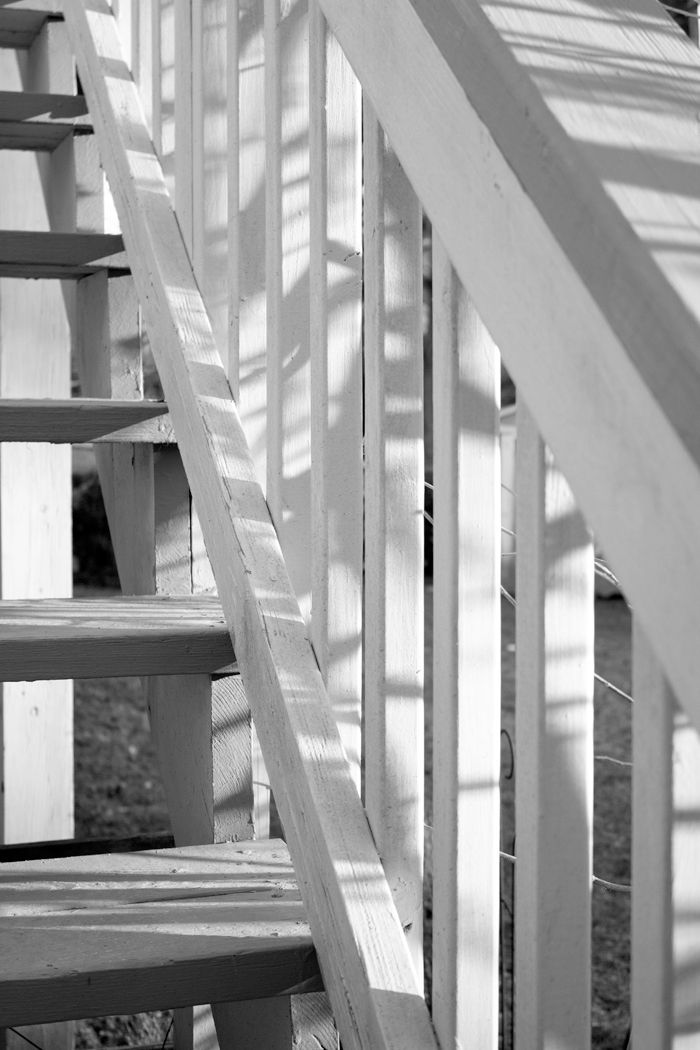 Black and white photograph of wooden stairs with dramatic shadow patterns.