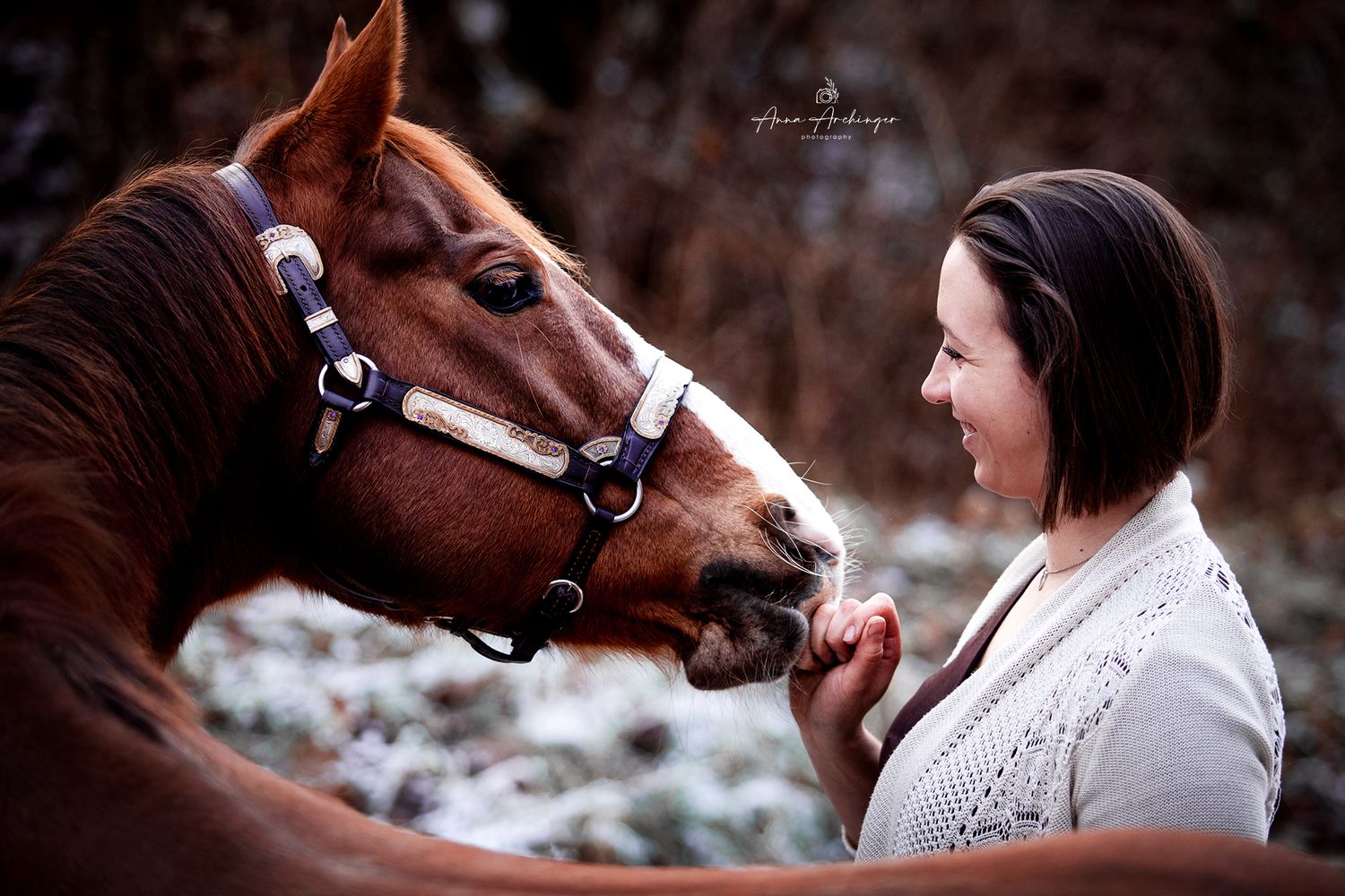 A brown horse with bridle gently interacting with companion during golden hour.