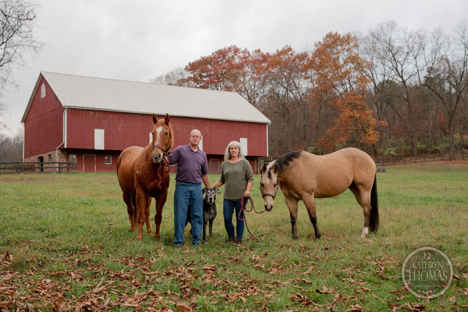 Two horses graze near visitors by a red barn on an autumn day.