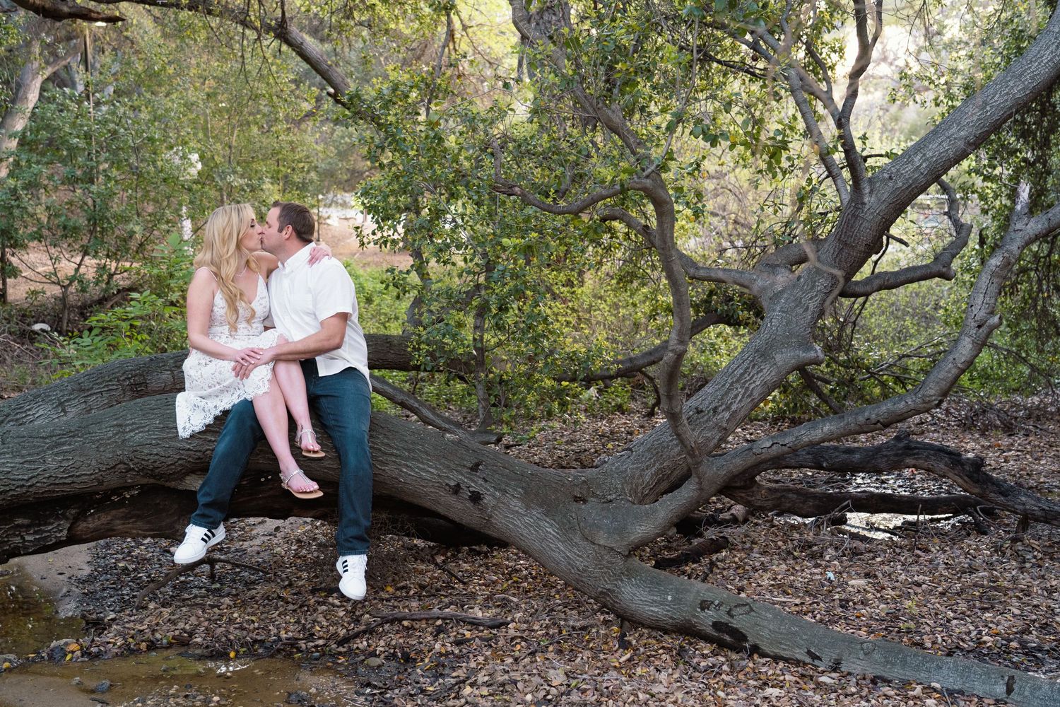 Engagement Photography in Simi Valley CA in Ventura County, Event and Wedding Photographer in Southern CA, Westlake Village, Thousand Oaks